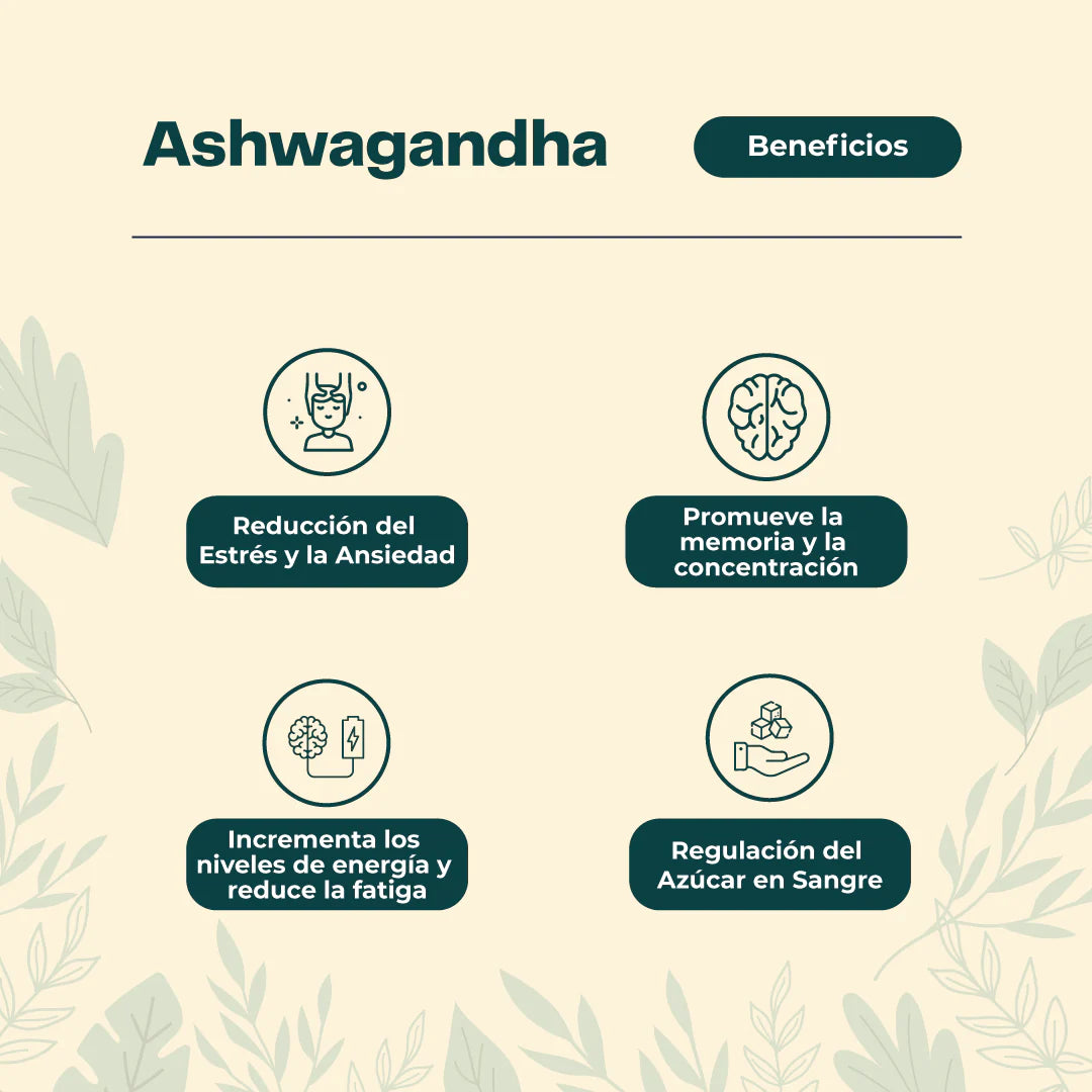 🌿 Pack Equilibrio Total – Ashwagandha + Melena de Leon + Reishi 🧠