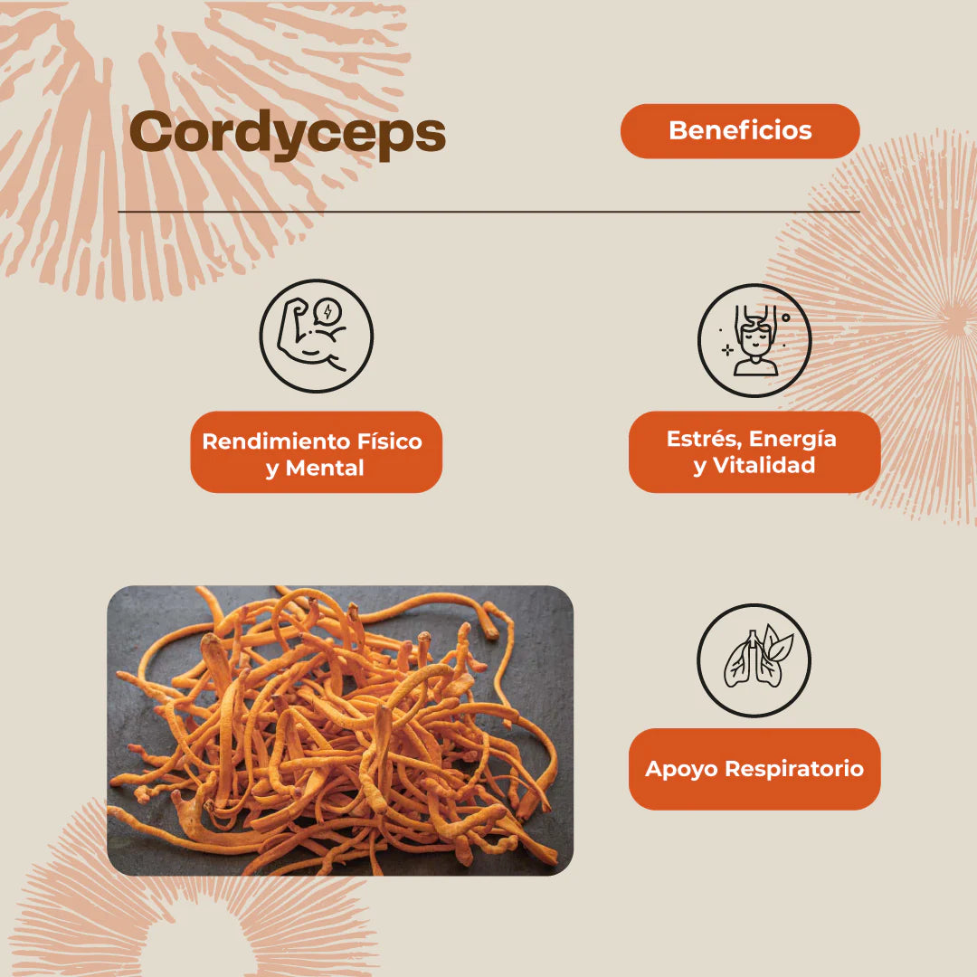 Hongo Cordyceps 60 Cápsulas - Energía Natural y Rendimiento Óptimo