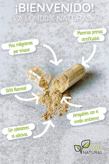 🌿 Pack Equilibrio Total – Ashwagandha + Melena de Leon + Reishi 🧠