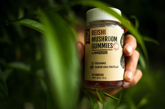 Gomitas de Reishi - 60 Gomitas - Veganas