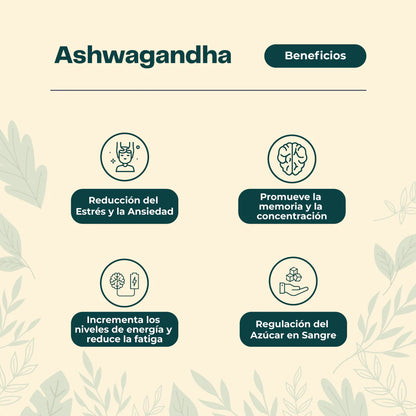🌿 Pack Equilibrio Total – Ashwagandha + Melena de Leon + Reishi 🧠