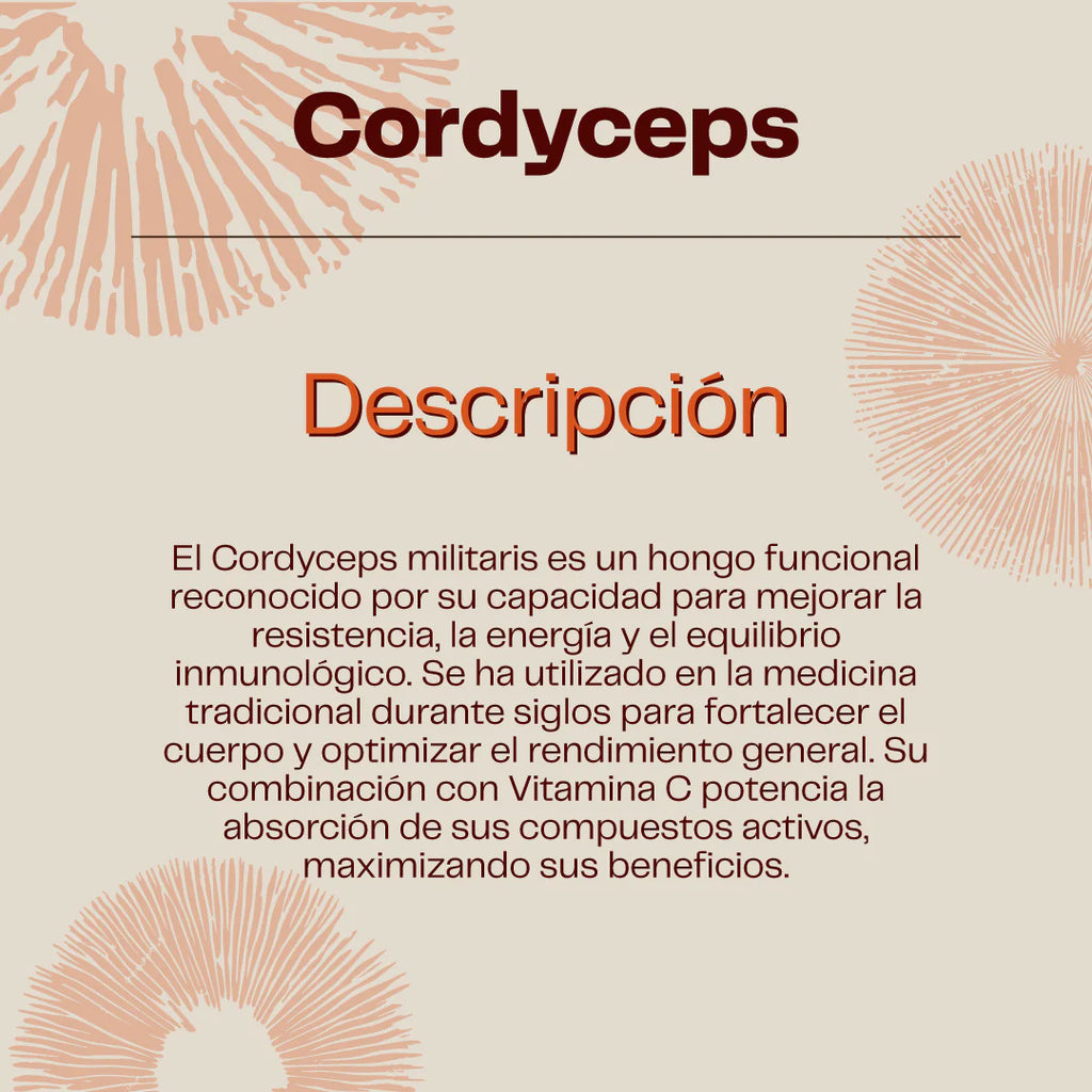 Pack Energía Natural - Focus (Melena De León con Guaraná) + Cordyceps