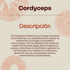 Pack Energía Natural: Focus + Cordyceps