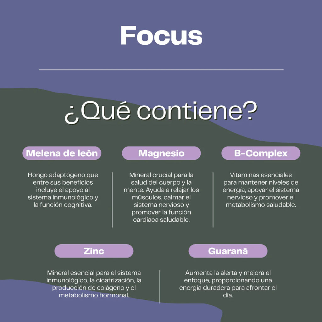 Pack Energía Natural - Focus (Melena De León con Guaraná) + Cordyceps