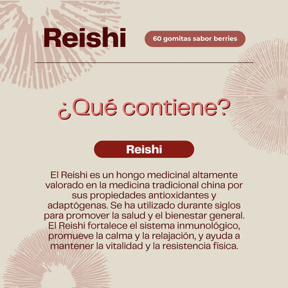 Pack Equilibrio Mental y Bienestar - Melena De Leon + Reishi