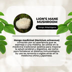 Hongo Melena de León · 60 cápsulas