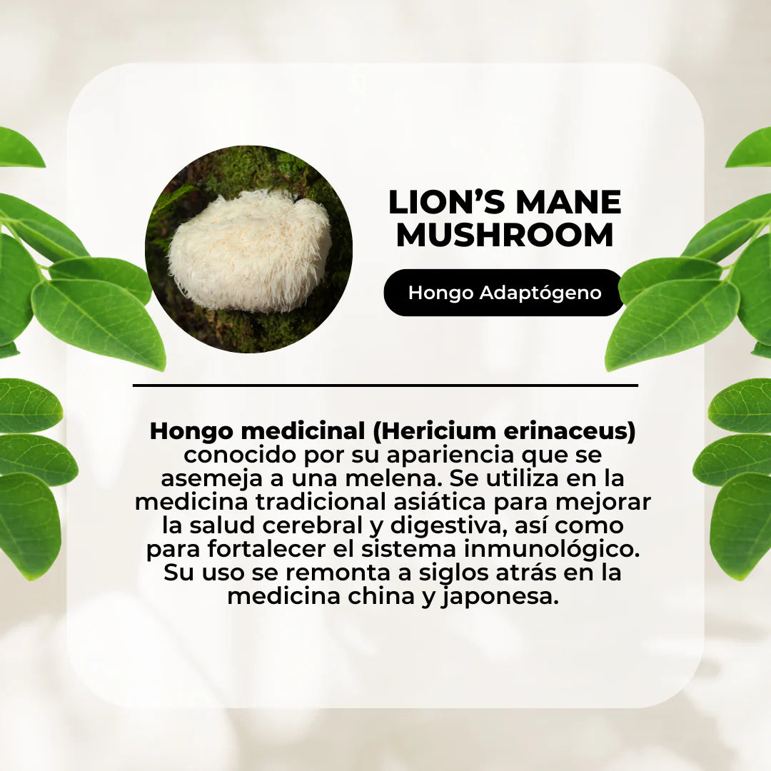 Pack Equilibrio Mental y Bienestar - Melena De Leon + Reishi