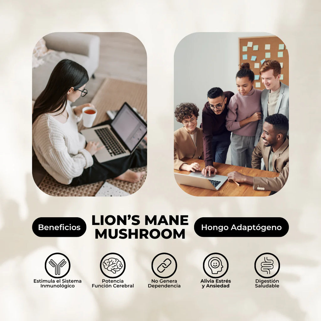 🌿 Triple Pack Equilibrio Total – Ashwagandha + Melena de Leon + Reishi 🧠