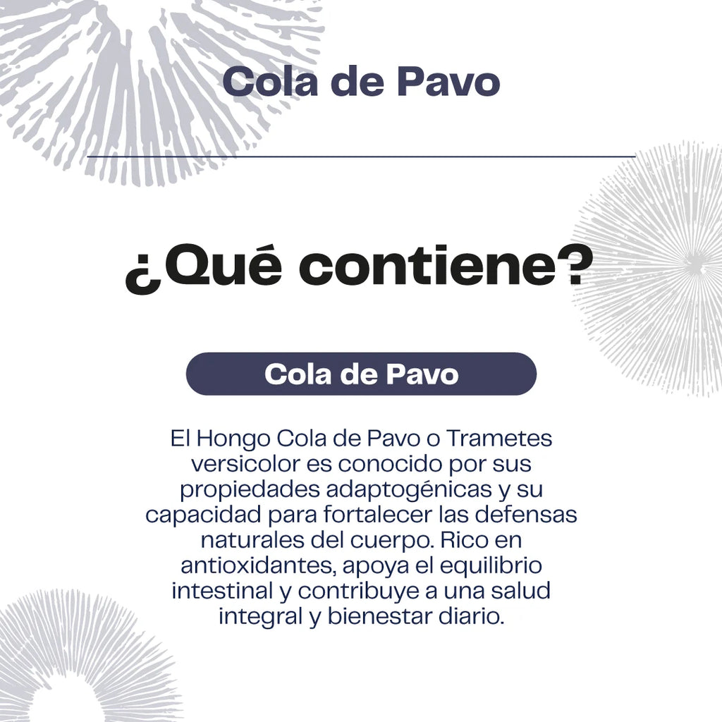 Hongo Cola de Pavo 60 Cápsulas - Imnunidad y Equilibrio natural