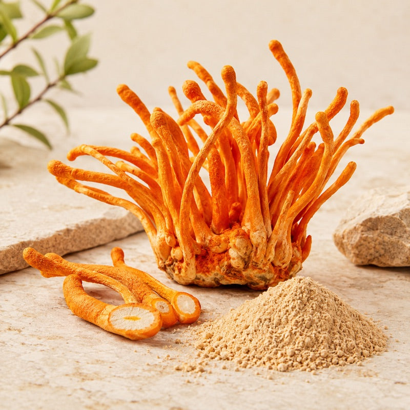 Cordyceps