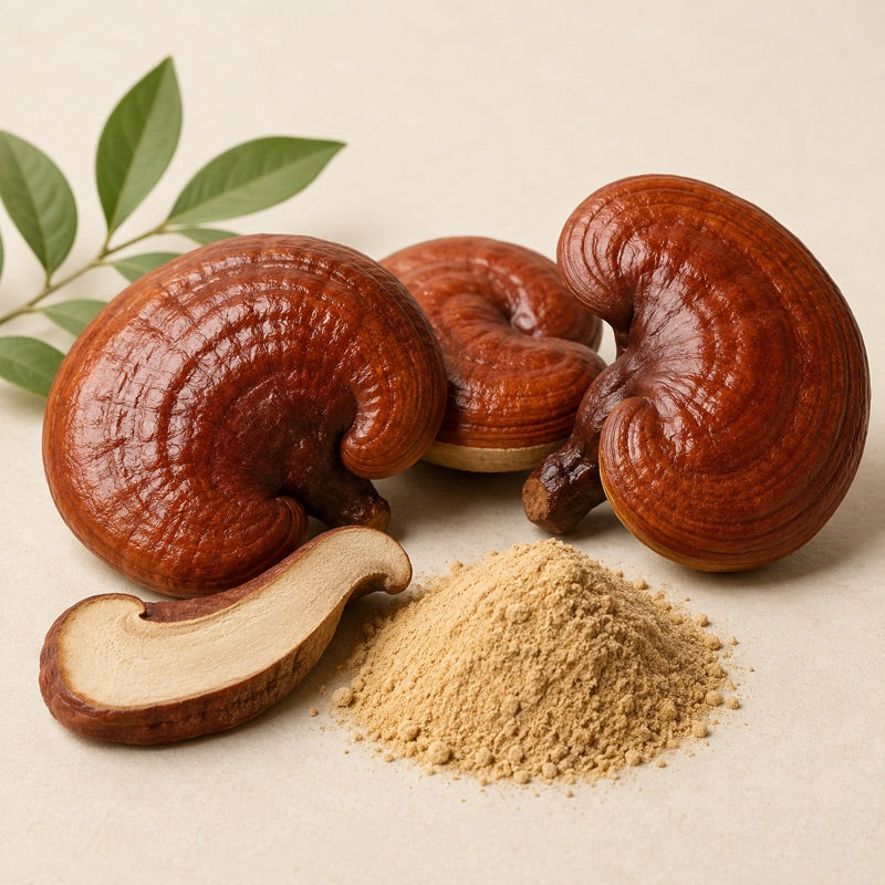 Reishi